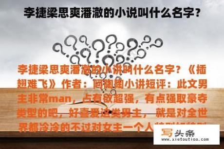 李捷梁思爽潘澈的小说叫什么名字？