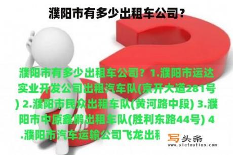 濮阳市有多少出租车公司？