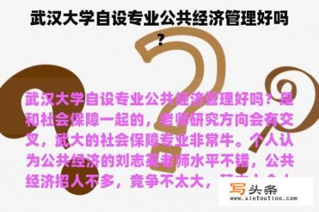 武汉大学自设专业公共经济管理好吗？