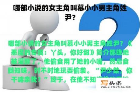 哪部小说的女主角叫慕小小男主角姓尹？