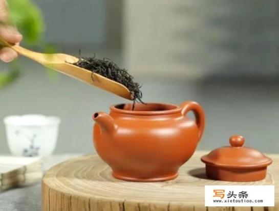 泡普洱茶的正确方法？