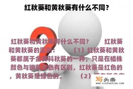 红秋葵和黄秋葵有什么不同？