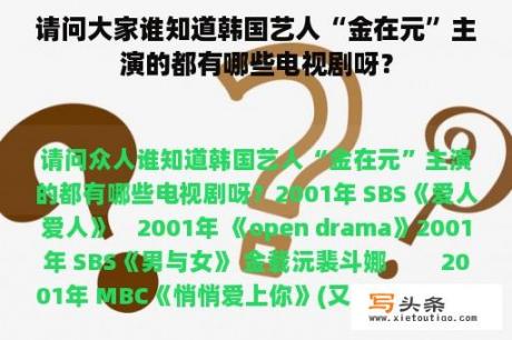 请问大家谁知道韩国艺人“金在元”主演的都有哪些电视剧呀？