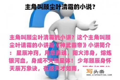 主角叫顾尘叶清霜的小说？