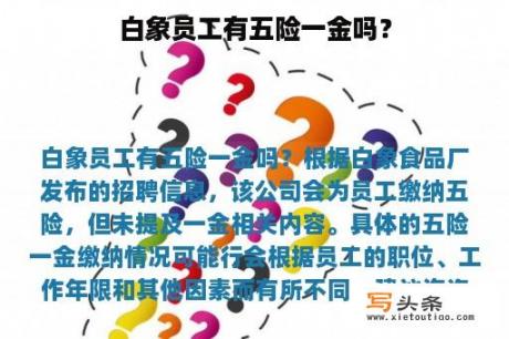 白象员工有五险一金吗？