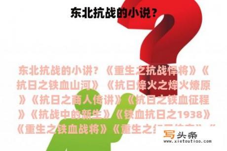 东北抗战的小说？