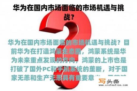 华为在国内市场面临的市场机遇与挑战？