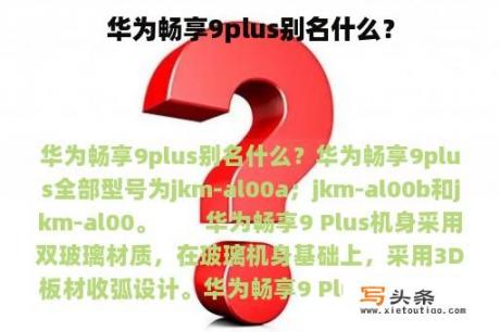 华为畅享9plus别名什么？