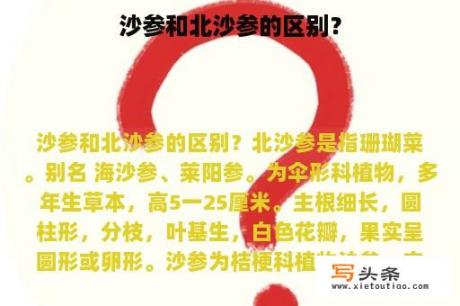 沙参和北沙参的区别？