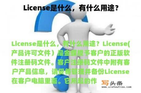 License是什么，有什么用途？