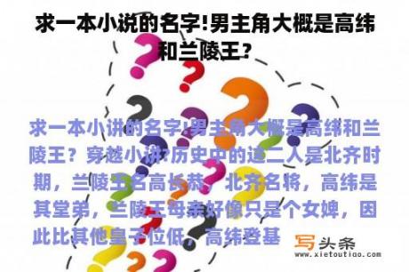 求一本小说的名字!男主角大概是高纬和兰陵王？