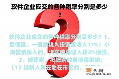 软件企业应交的各种税率分别是多少？