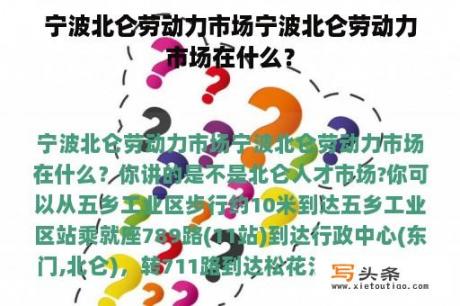 宁波北仑劳动力市场宁波北仑劳动力市场在什么？