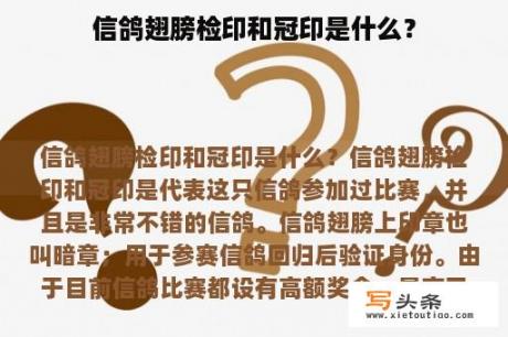 信鸽翅膀检印和冠印是什么？