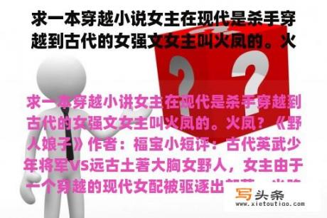 求一本穿越小说女主在现代是杀手穿越到古代的女强文女主叫火凤的。火凤？