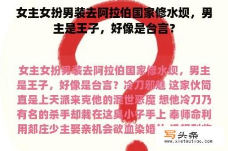 女主女扮男装去阿拉伯国家修水坝，男主是王子，好像是台言？