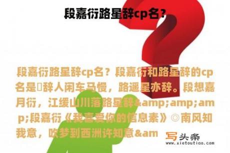 段嘉衍路星辞cp名？