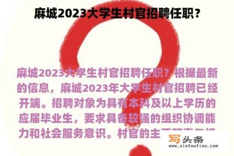 麻城2023大学生村官招聘任职？