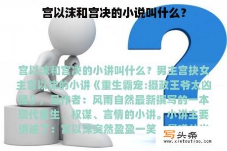 宫以沫和宫决的小说叫什么？