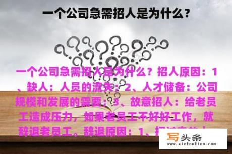 一个公司急需招人是为什么？