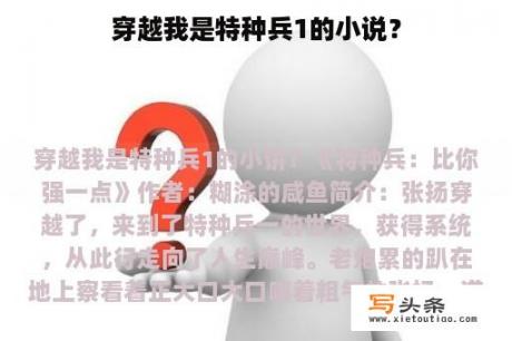 穿越我是特种兵1的小说？