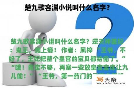 楚九歌容渊小说叫什么名字？