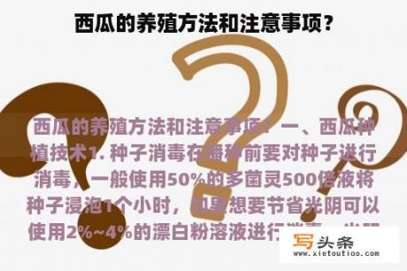 西瓜的养殖方法和注意事项？