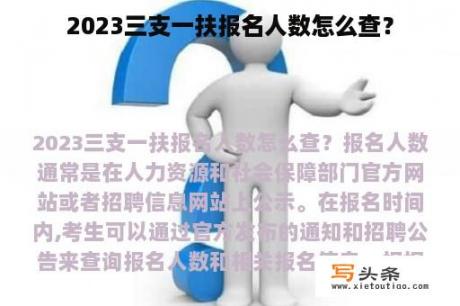 2023三支一扶报名人数怎么查？