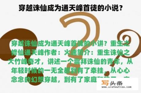 穿越诛仙成为通天峰首徒的小说？