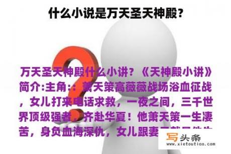 什么小说是万天圣天神殿？