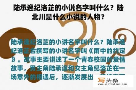 陆承逸纪洛芷的小说名字叫什么？陆北川是什么小说的人物？