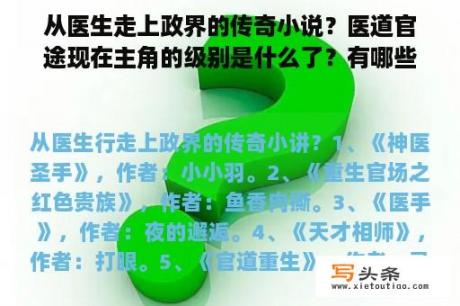 从医生走上政界的传奇小说？医道官途现在主角的级别是什么了？有哪些女主角？