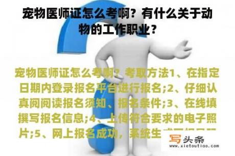 宠物医师证怎么考啊？有什么关于动物的工作职业？