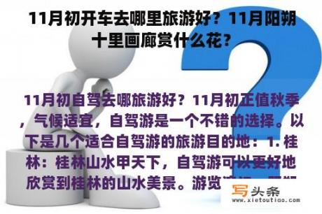 11月初开车去哪里旅游好？11月阳朔十里画廊赏什么花？