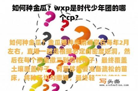 如何种金瓜？wxp是时代少年团的哪个cp？