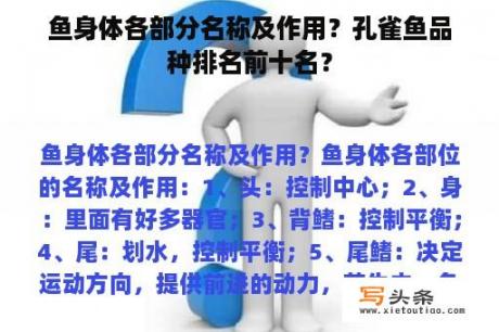 鱼身体各部分名称及作用？孔雀鱼品种排名前十名？