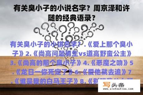 有关臭小子的小说名字？周京泽和许随的经典语录？