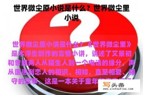 世界微尘原小说是什么？世界微尘里小说