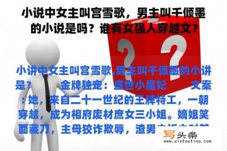 小说中女主叫宫雪歌，男主叫千倾墨的小说是吗？谁有女强人穿越文？