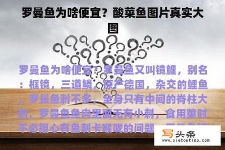 罗曼鱼为啥便宜？酸菜鱼图片真实大图