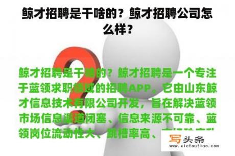 鲸才招聘是干啥的？鲸才招聘公司怎么样？