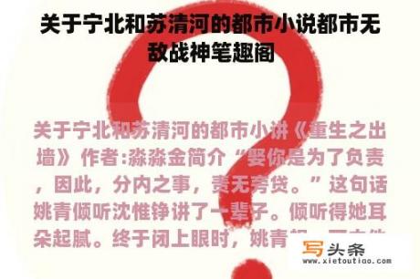 关于宁北和苏清河的都市小说都市无敌战神笔趣阁