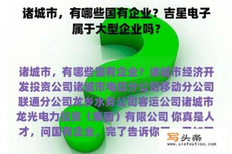 诸城市，有哪些国有企业？吉星电子属于大型企业吗？