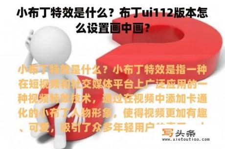 小布丁特效是什么？布丁ui112版本怎么设置画中画？