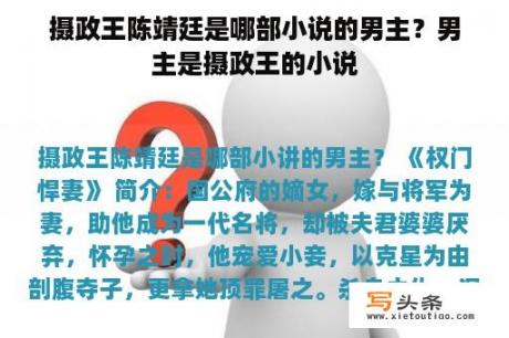 摄政王陈靖廷是哪部小说的男主？男主是摄政王的小说