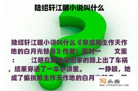 陆绍轩江眠小说叫什么