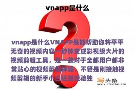 vnapp是什么