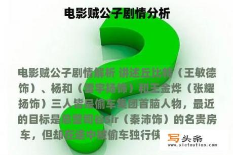 电影贼公子剧情分析