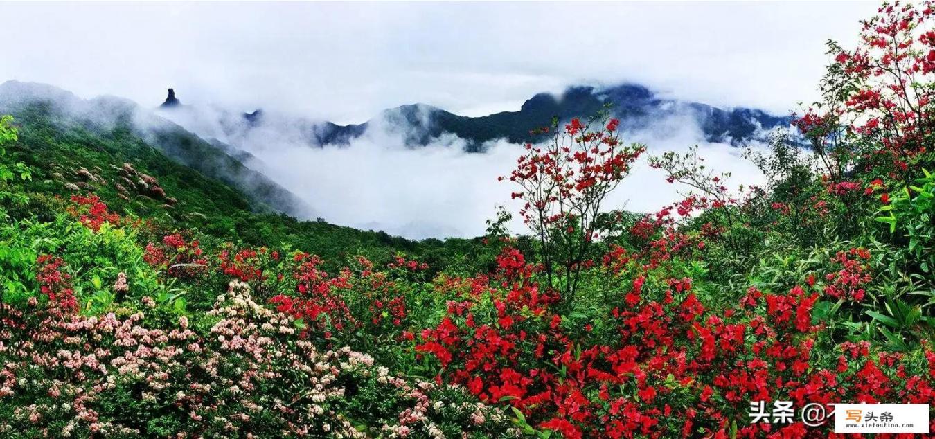 4月份能去贵州旅游吗？需要注意什么