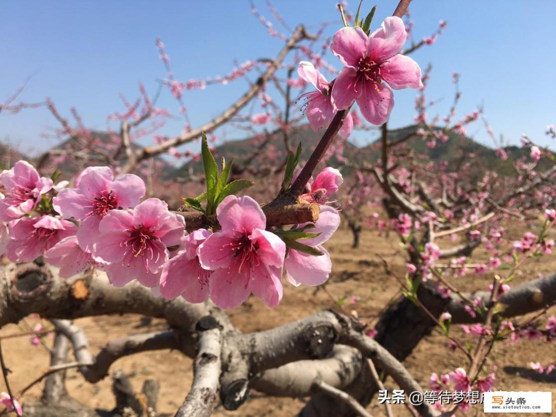 你觉得一年四季哪个季节最适合旅行